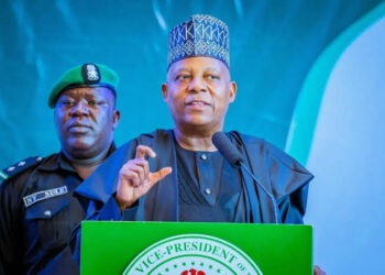 Shettima To Chair On Tinubu’s One Year Administration