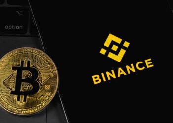 Detained Binance Official Slumps in Court