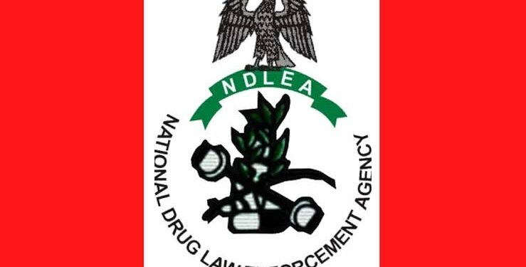 India-Based Nigerian Couple Declared Wanted by NDLEA
