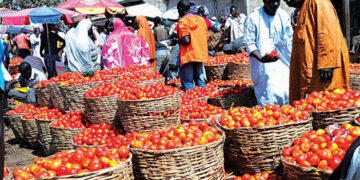 Nigeria’s Economy Grows, But at a Slower Pace