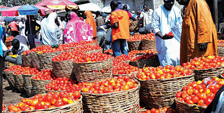 Nigeria’s Economy Grows, But at a Slower Pace