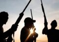 Nigeria Faces Fresh Kidnapping Ordeal as Gunmen Target University Students