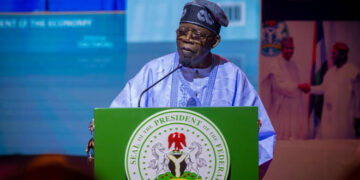 Tinubu’s One Year in Office: A Year of “Pepper Dem”