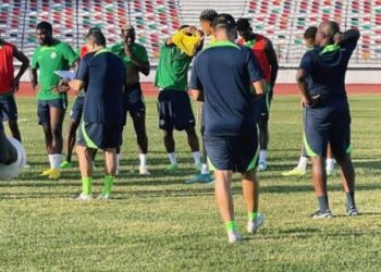 Finidi George Announces 23-Man Squad for World Cup Qualifiers Against South Africa and Benin