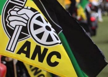 South Africans Vote in Historic Election: Will the ANC’s 30-Year Reign End?