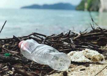 Are Plastic-Eating Bacteria the Answer to Plastic Pollution?