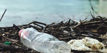 Are Plastic-Eating Bacteria the Answer to Plastic Pollution?