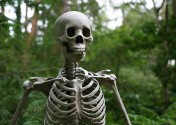 Are Your Bones Getting Weaker? Here’s How to Stop It