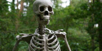 Are Your Bones Getting Weaker? Here’s How to Stop It