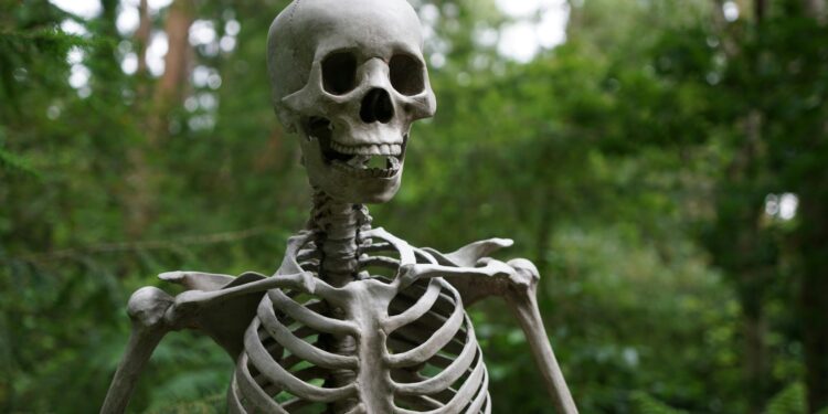 Are Your Bones Getting Weaker? Here’s How to Stop It