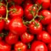 Tomato Troubles: Infestation Drives Prices Sky-High