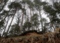 Papau New Guinea Landslide Kills Over 300 People