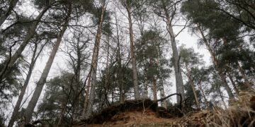 Papau New Guinea Landslide Kills Over 300 People