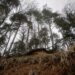 Papau New Guinea Landslide Kills Over 300 People