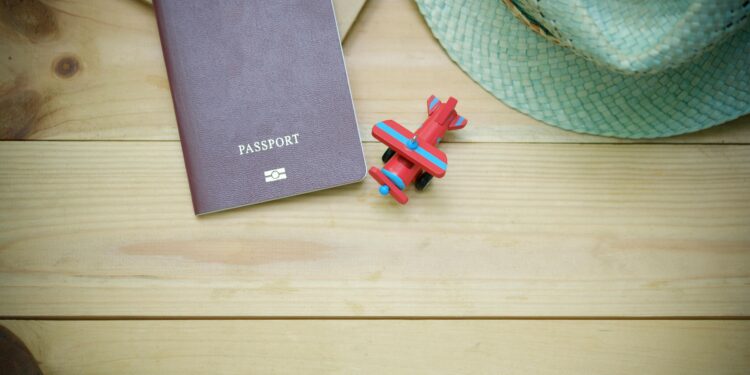 FG to Shorten Visa Process to 48 Hours for Investors and Tourists