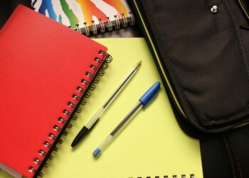 Abuja: Bullied Student Sues Lead British International School For Bullying, Seeks N500m Damages