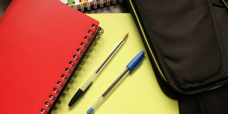 Abuja: Bullied Student Sues Lead British International School For Bullying, Seeks N500m Damages