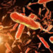 Cholera Outbreak in Ogun State – 25 Cases Confirmed, One Death Reported
