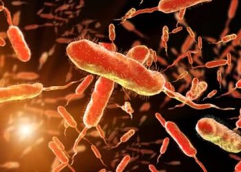 Lagos State Suspected Cholera Cases Surge To 421