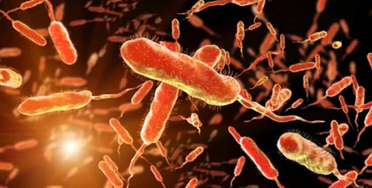 Lagos State Suspected Cholera Cases Surge To 421