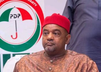 PDP will recover by 2027, Damagum Predicts