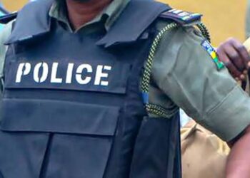 Alleged Kidnapping: Lagos Apprentice in Police Custody Regarding Horticulturist’s Disappearance
