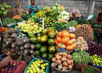 Exhibitors Seek Partners To Enter Nigerian market.