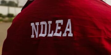Major Drug Cartel Busted by NDLEA in Aba, Abia State