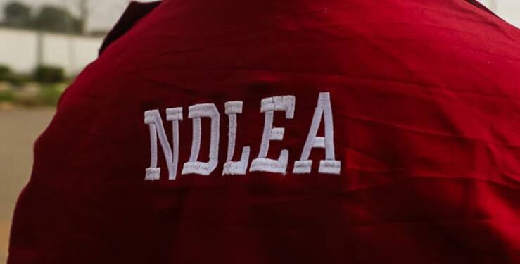 Major Drug Cartel Busted by NDLEA in Aba, Abia State