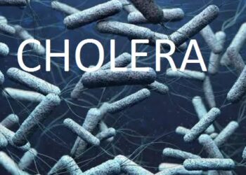 Lagos Cholera Outbreak: Death Toll Reaches 24, Suspected Cases Now 417