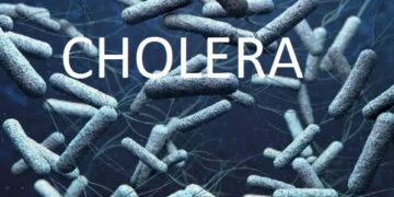 Lagos Cholera Outbreak: Death Toll Reaches 24, Suspected Cases Now 417