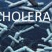 Lagos Cholera Outbreak: Death Toll Reaches 24, Suspected Cases Now 417