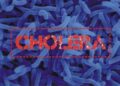 Ogun State Reports First Cholera Death; Urges Vigilance