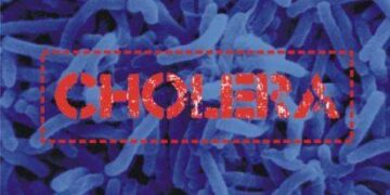 Ogun State Reports First Cholera Death; Urges Vigilance