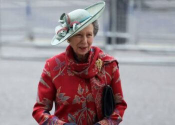 Princess Anne Admitted to Hospital After Horse Incident