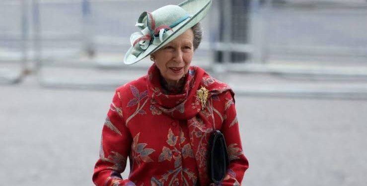 Princess Anne Admitted to Hospital After Horse Incident