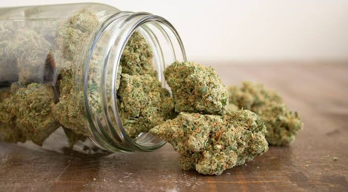 NDLEA finds 3.33 tonnes of cannabis and more in Ogun state