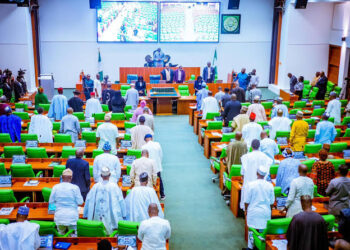 Tragedy Strikes at National Assembly: Senior Customs Official Dies During Questioning