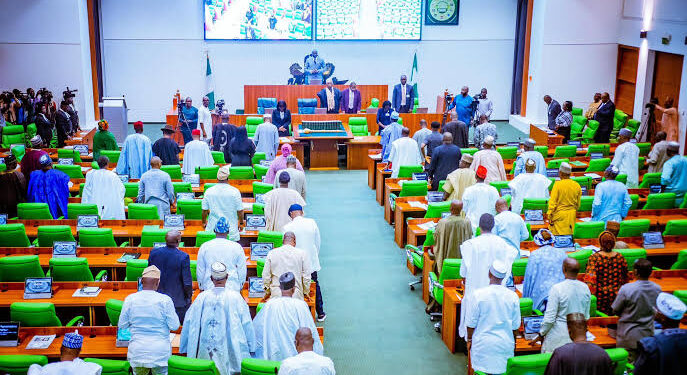 Tragedy Strikes at National Assembly: Senior Customs Official Dies During Questioning