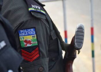 Ekiti police parades jailbreaker and many others