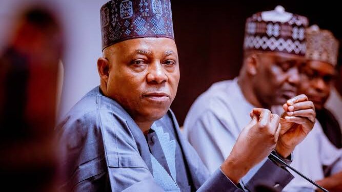 Vice President Shettima Talks Big on Security While Mourning Mother-in-Law
