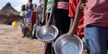 Sudan on Brink of Famine as War Ravages the Country