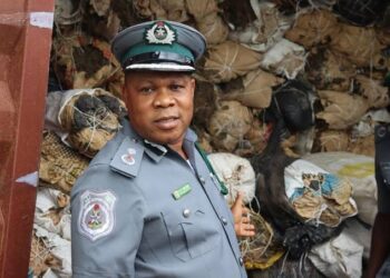 Nigeria Customs Service Uncovers Major Drug Smuggling Ring Involving Own Officers and Terminal Operators