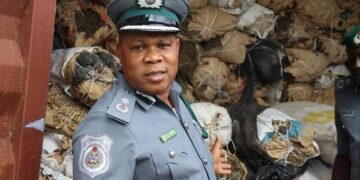 Nigeria Customs Service Uncovers Major Drug Smuggling Ring Involving Own Officers and Terminal Operators