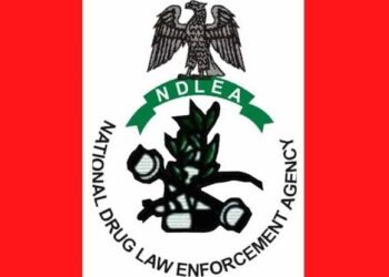 NDLEA Foils Drug Smuggling Attempt by Pilgrims in Lagos