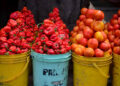 Tomato and Pepper Prices Skyrocket Due to Insecurity!