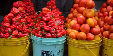 Tomato and Pepper Prices Skyrocket Due to Insecurity!