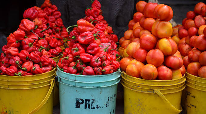Tomato and Pepper Prices Skyrocket Due to Insecurity!