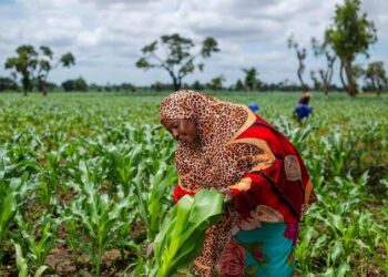 Society seeks the council’s engagement in agriculture