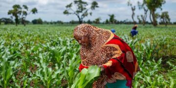 Society seeks the council’s engagement in agriculture